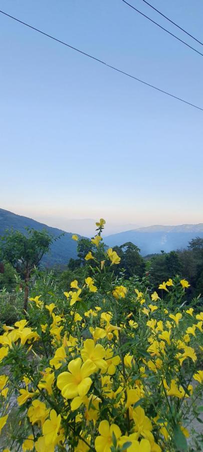 New Bloom Homestay Kurseong Экстерьер фото