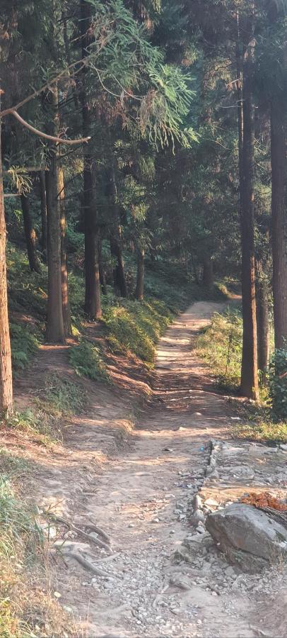 New Bloom Homestay Kurseong Экстерьер фото