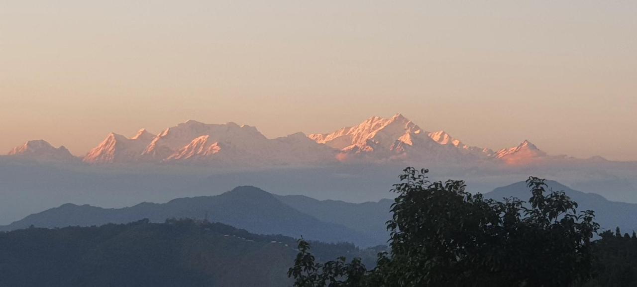New Bloom Homestay Kurseong Экстерьер фото